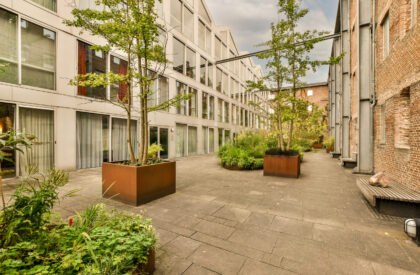 Exterior view of building View of street near building with beauty of vegetation outside