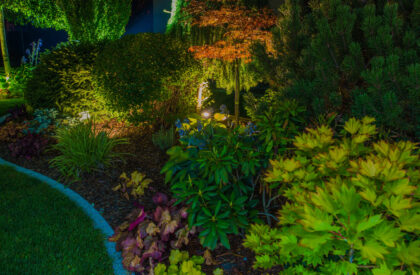 Illuminated Residential Backyard Rockery Garden Illuminated by LED Lights Residential Backyard Rockery Garden with Mature Plants.